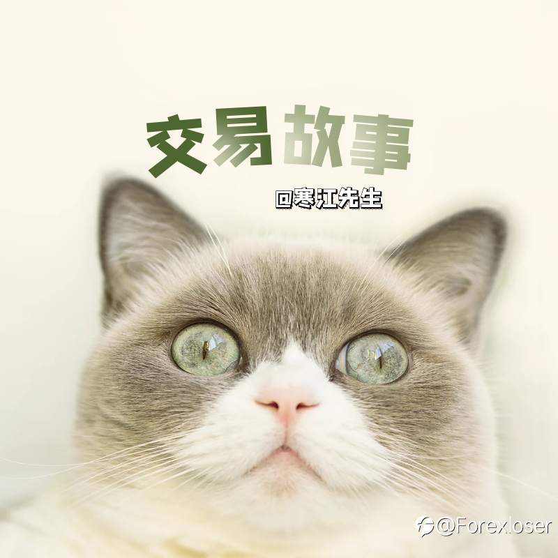 一只猫眼中的交易员| 小说