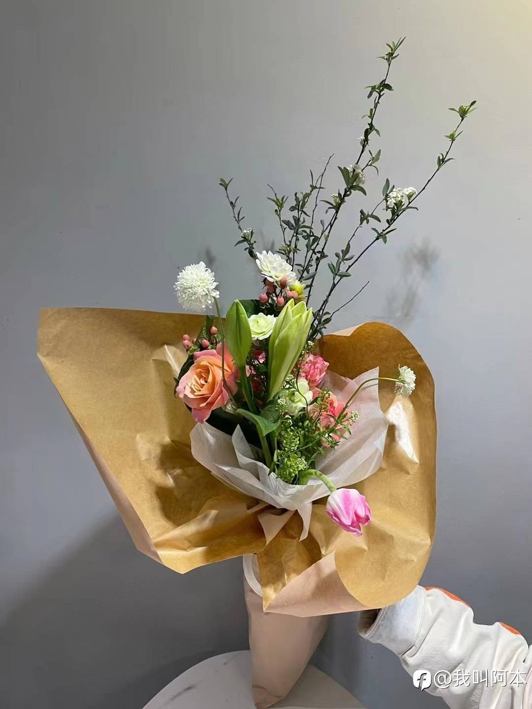 feed-image-2