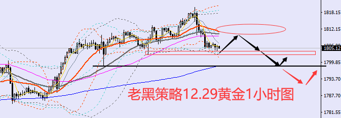 老黑策略：12.29黄金分析策略
