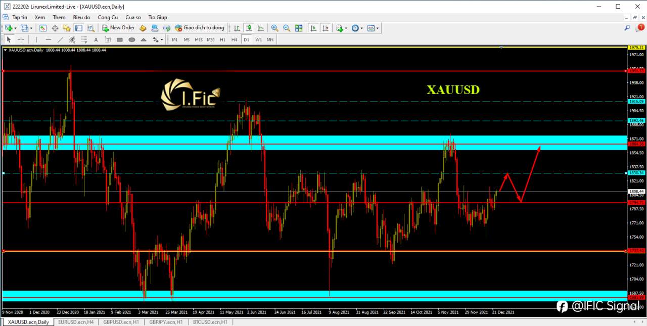 feed-image-2