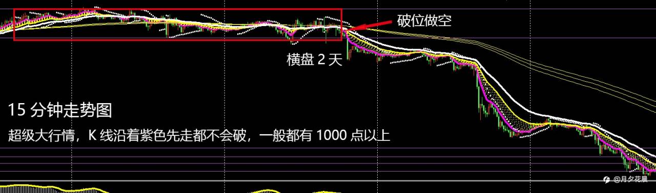 feed-image-0