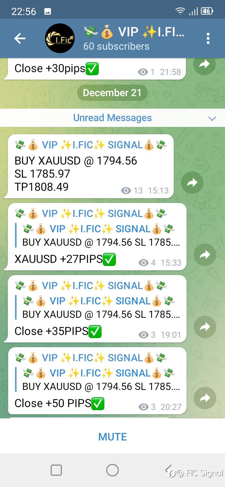 feed-image-2