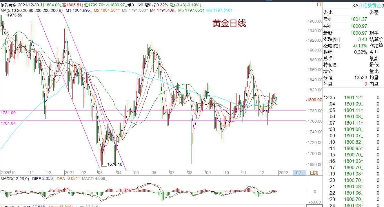 王萍：美日依然偏多运行 |2021年12月30日|每日汇评