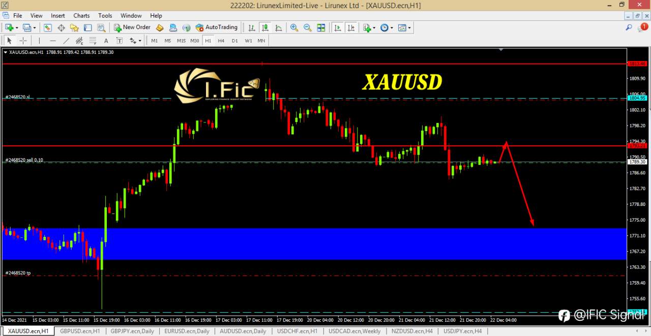 feed-image-2