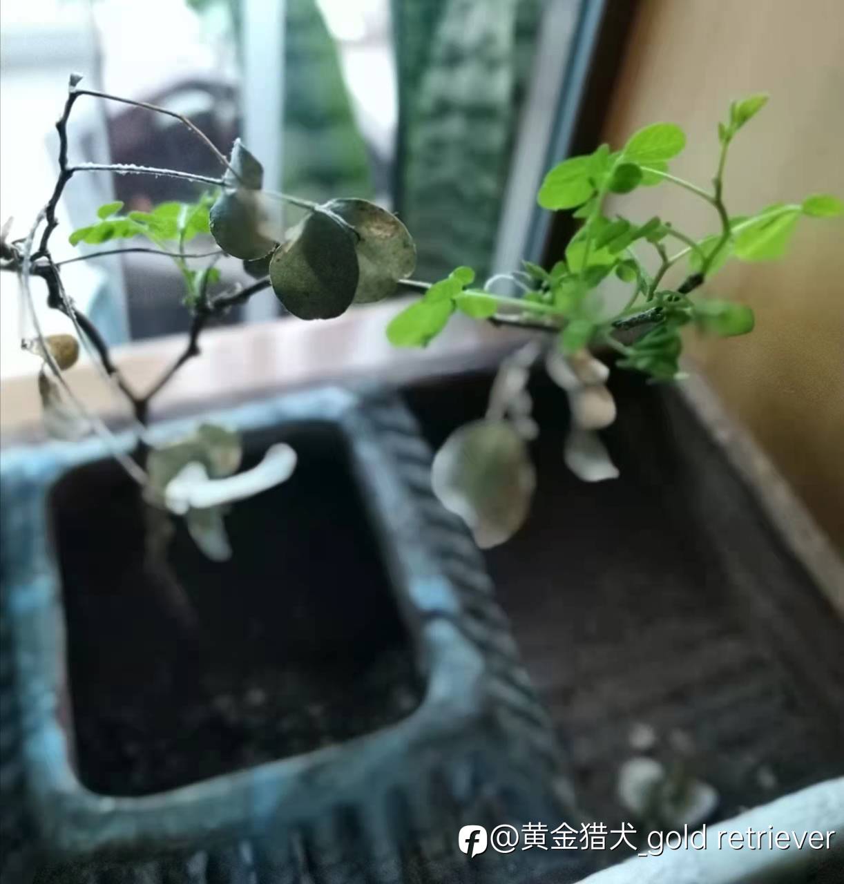 feed image