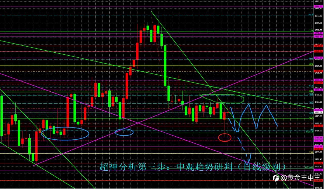 feed-image-2