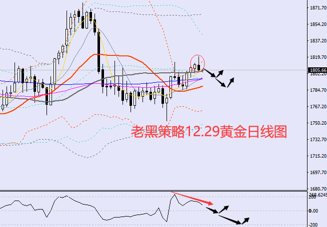 老黑策略：12.29黄金分析策略