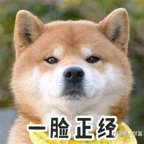 澳洲实施加强外汇监管!币圈的疯狂还会持续多久?!