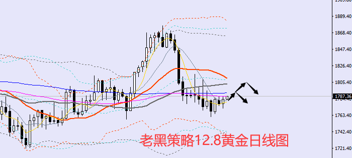 老黑策略：12.8黄金分析策略