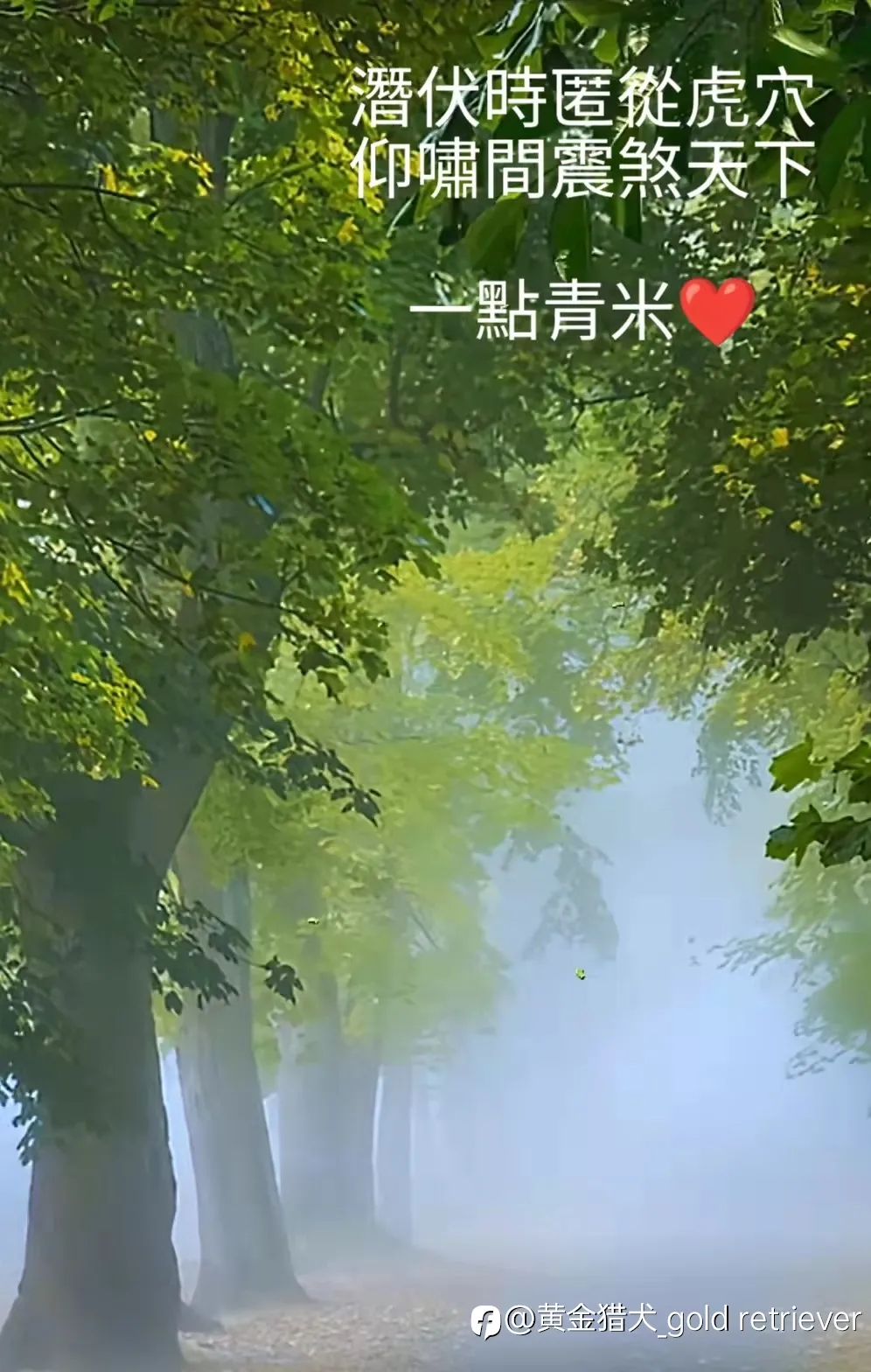 feed image