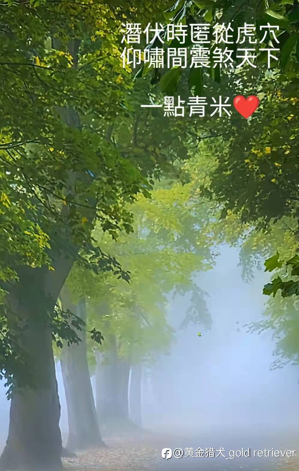 feed image