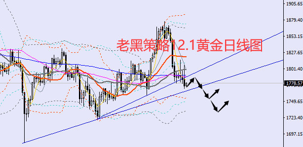 老黑策略：12.1黄金分析策略