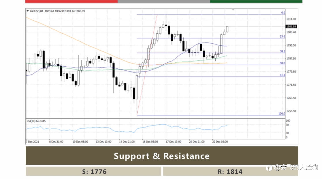 Market Insights