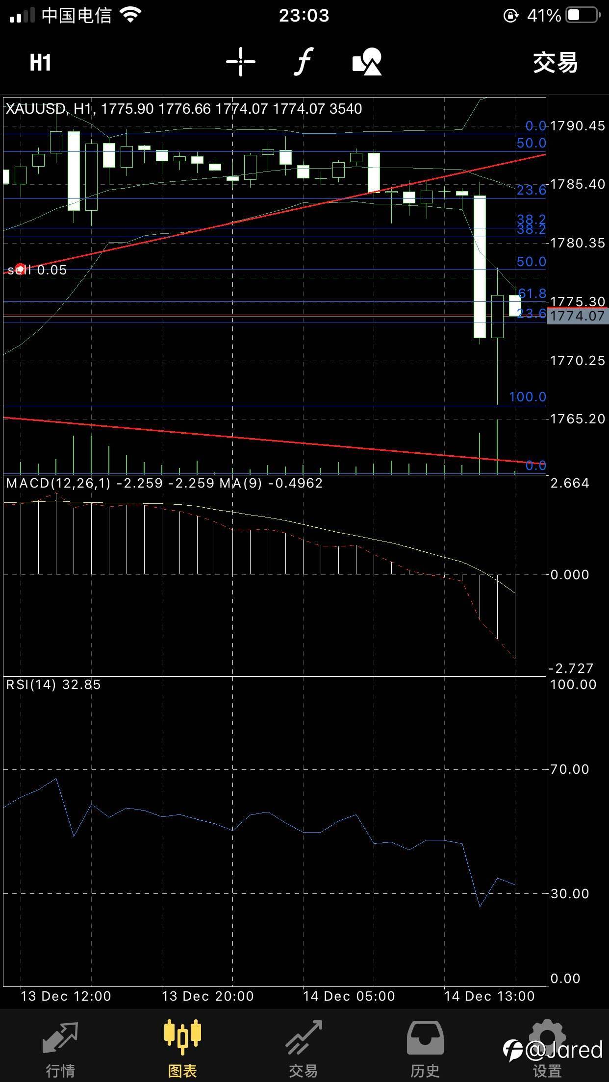 feed-image-1
