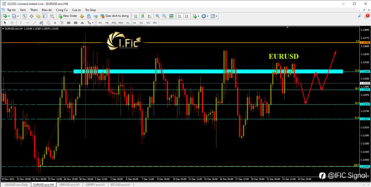 feed-image-1
