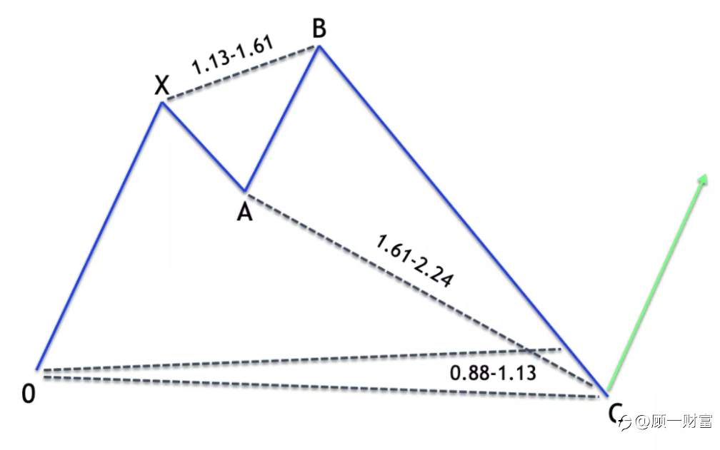 鲨鱼形态你听过没?等我教你怎么分办它