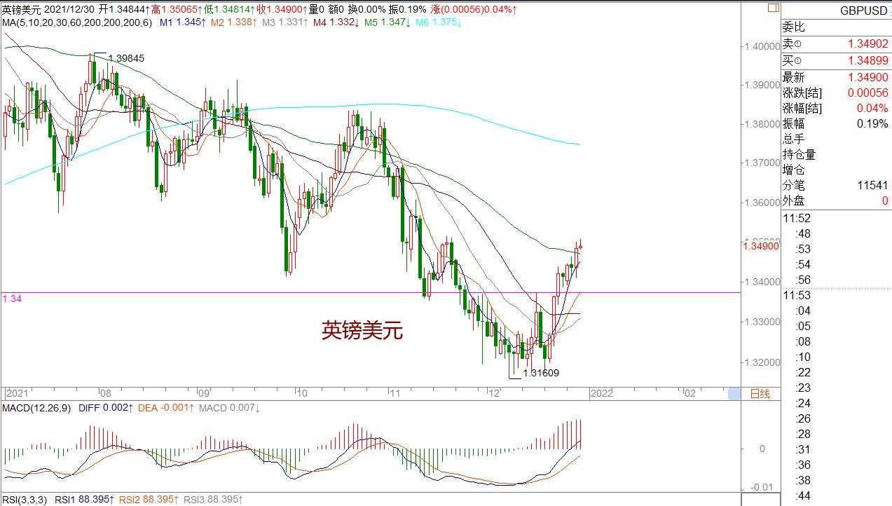 王萍：美日依然偏多运行 |2021年12月30日|每日汇评