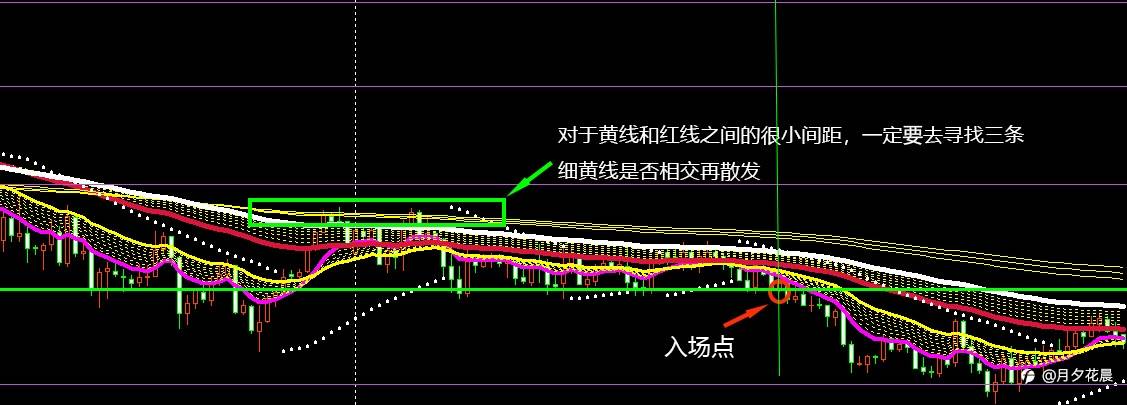 feed-image-2
