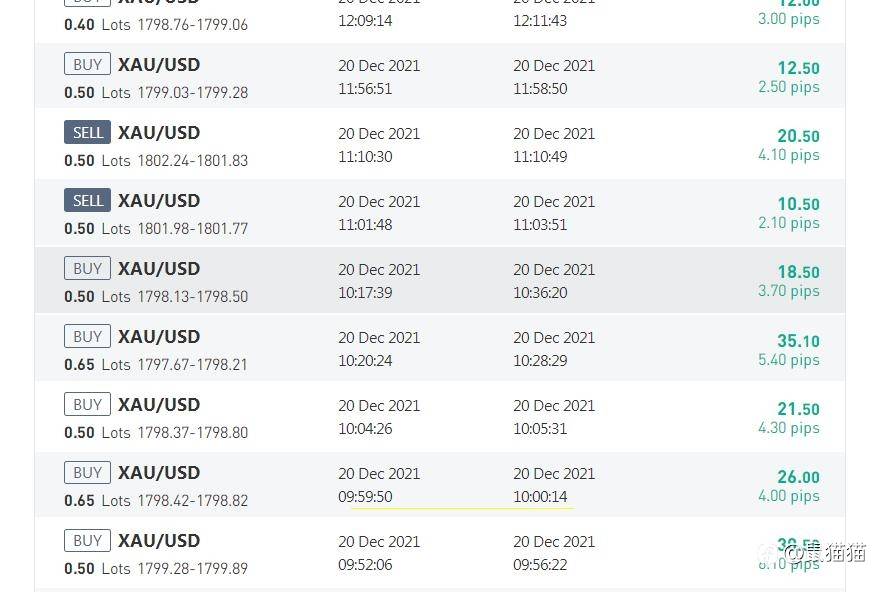 比赛即将结束，欣赏几个排名靠前账户的特色