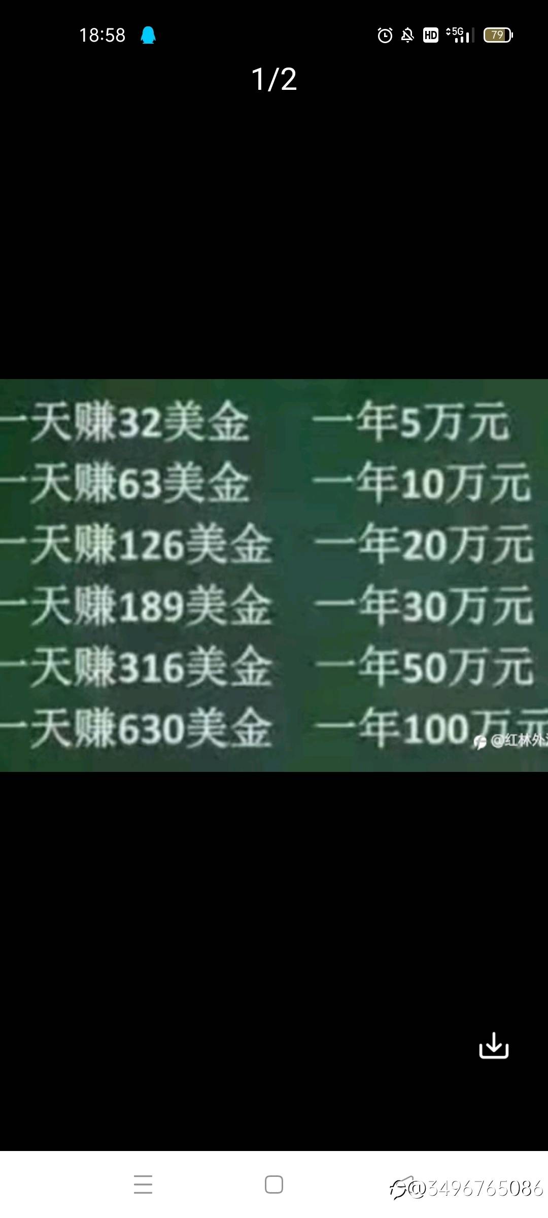 feed-image-2