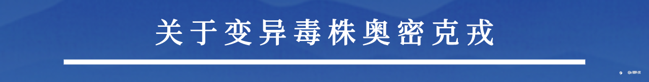 【e锤 | 直击非农】鲍威尔提出加速削减QE,周五非农报告或再添一把火