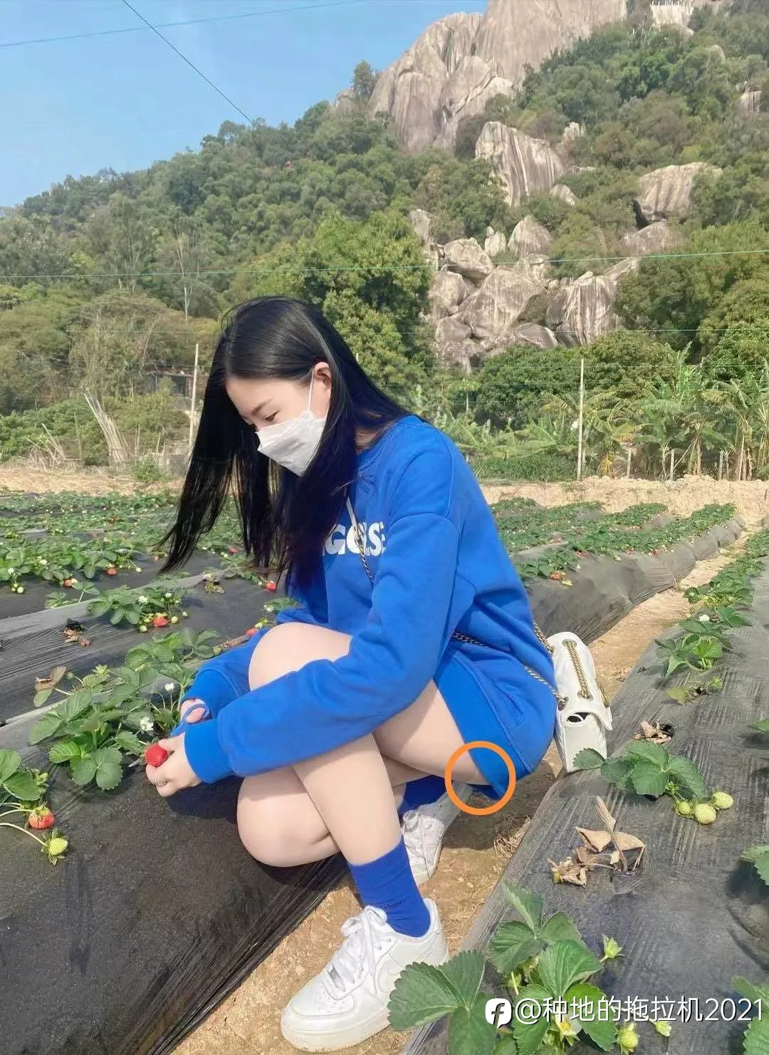 feed image