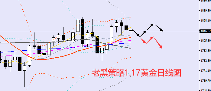 老黑策略:1.17黄金分析策略