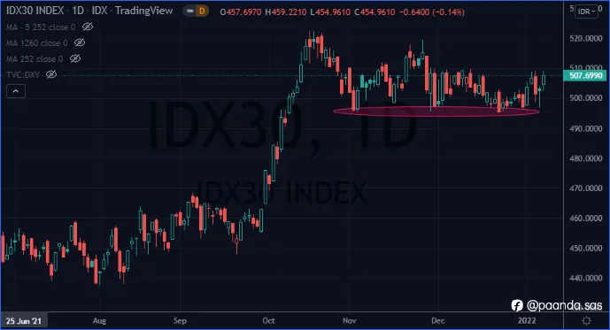 INDONESIA - Time to increase long positions?