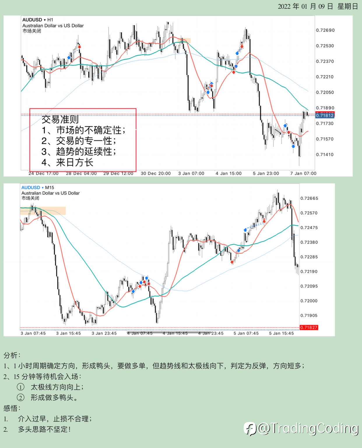 实战案例分析