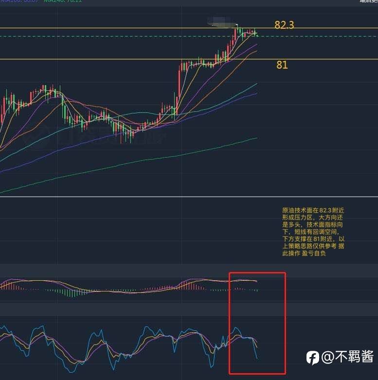 1.13早评