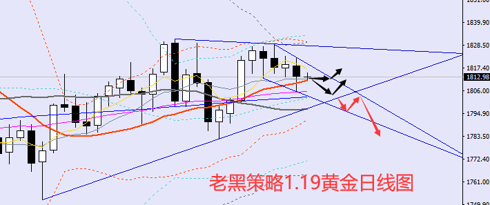 老黑策略：1.19黄金分析策略