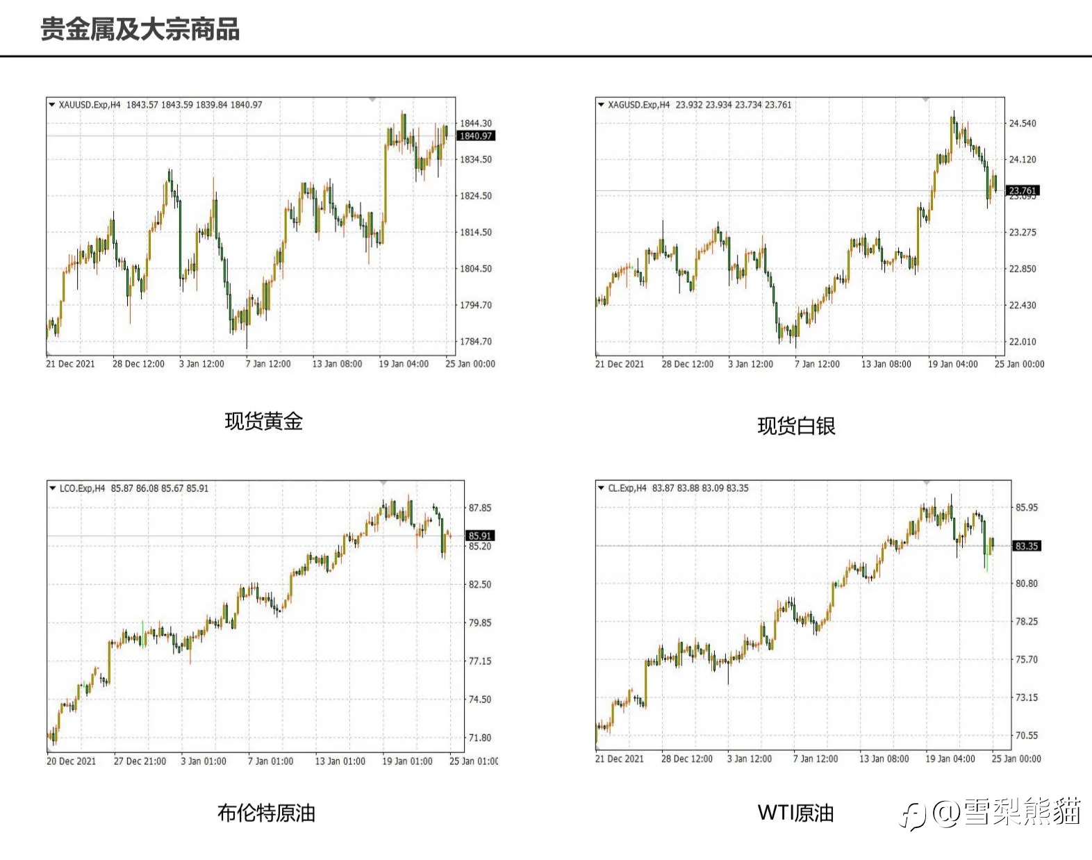 拓利日報25/1