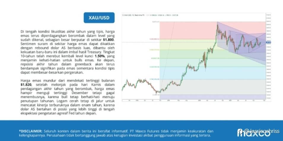 feed-image-1