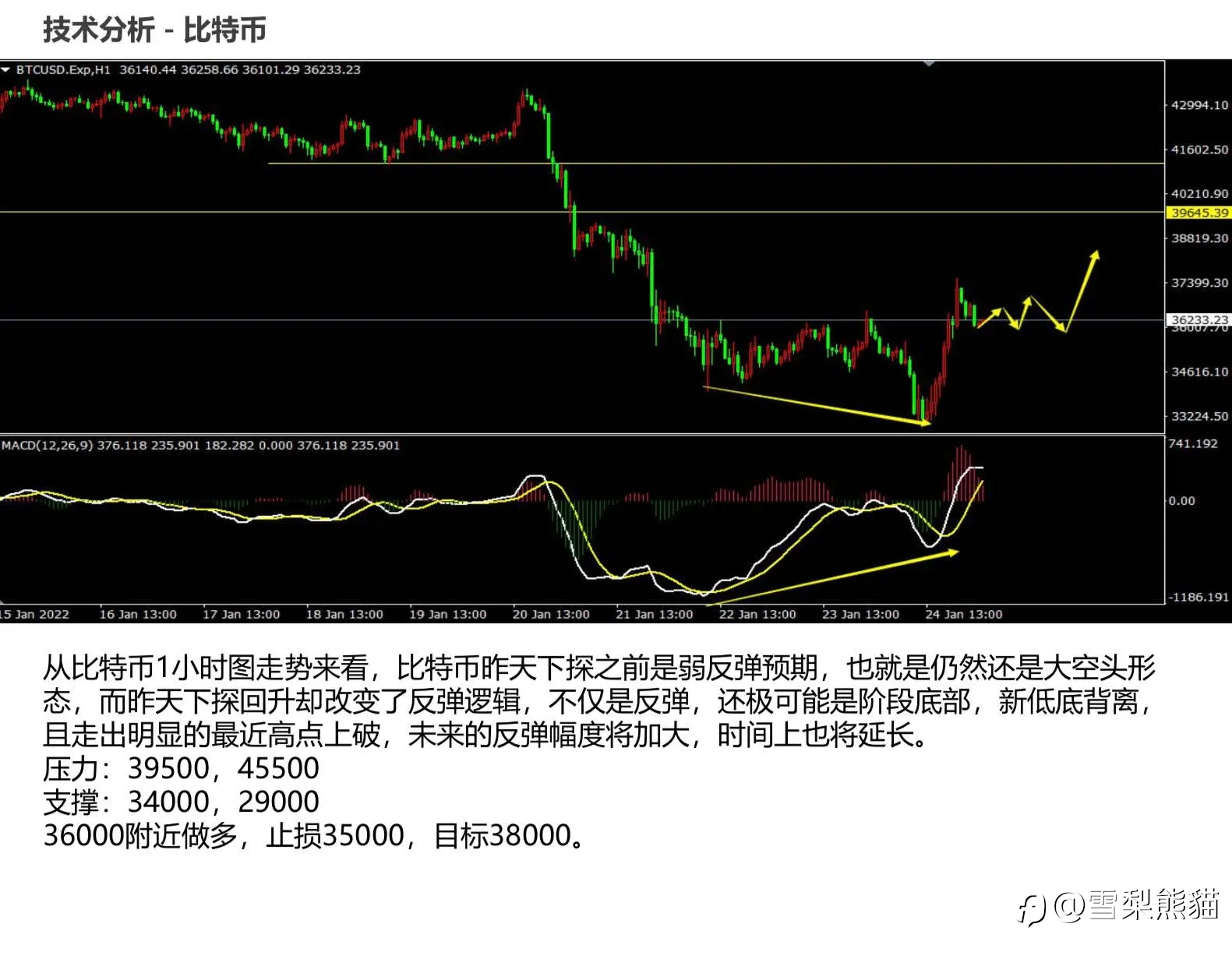 拓利日報25/1