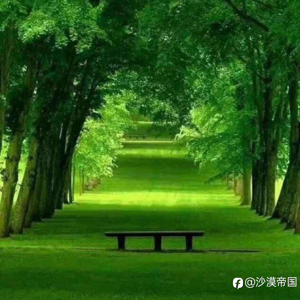 2022.1.12 外汇每日交易策略
