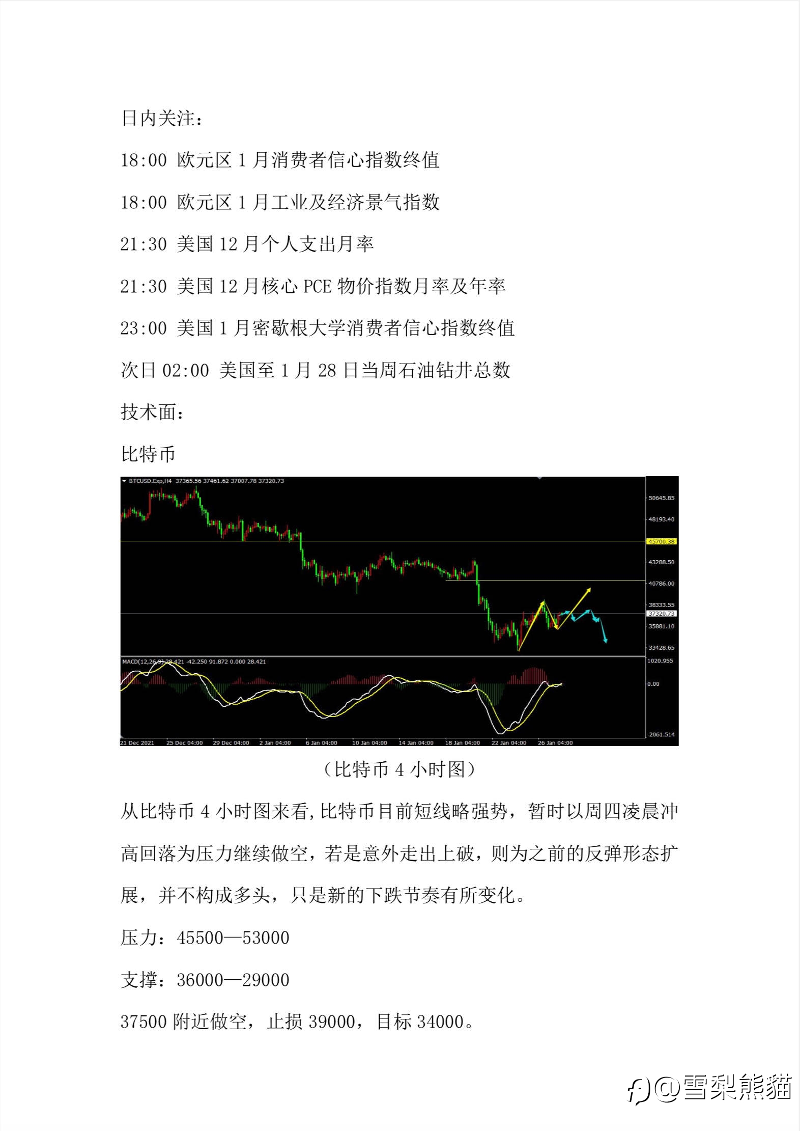 28/1拓利汇评