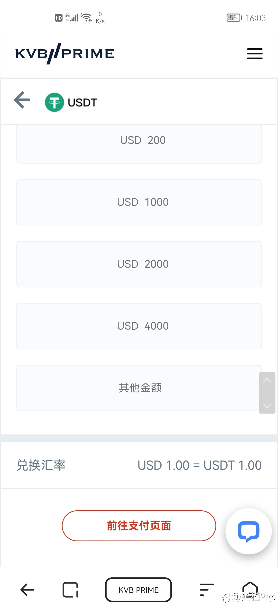 测试几家平台USTD出入金