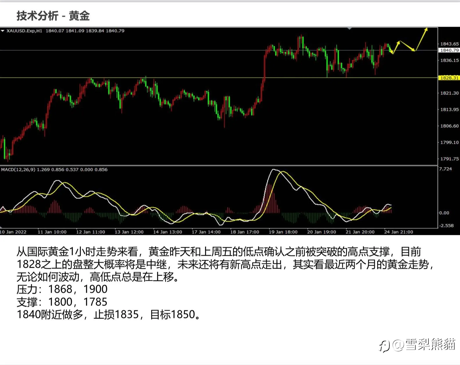 拓利日報25/1
