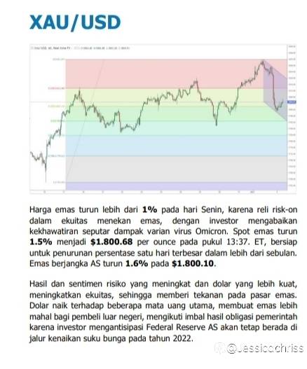 feed-image-1