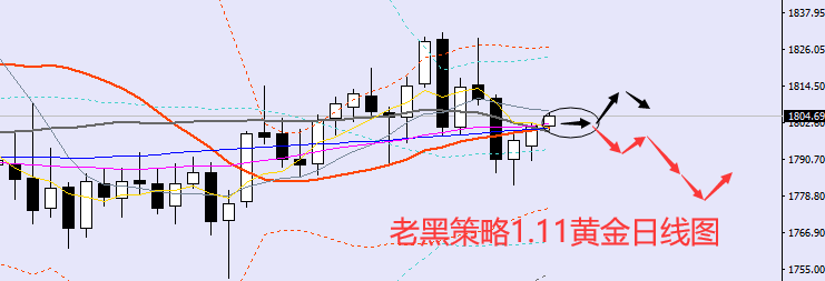 老黑策略：1.11黄金分析策略