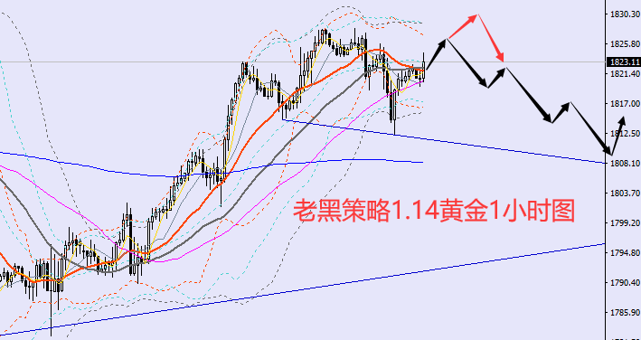 老黑策略：1.14黄金分析策略