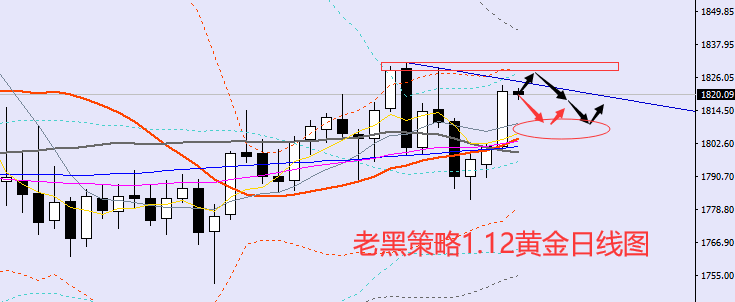 老黑策略:1.12黄金分析策略