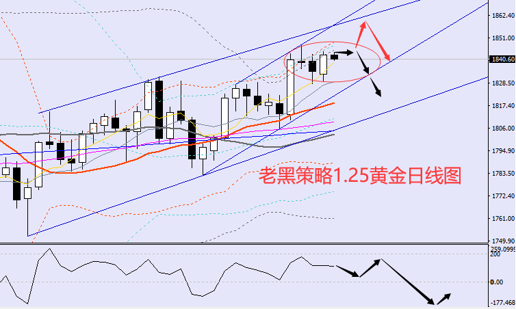 老黑策略:1.25黄金分析策略
