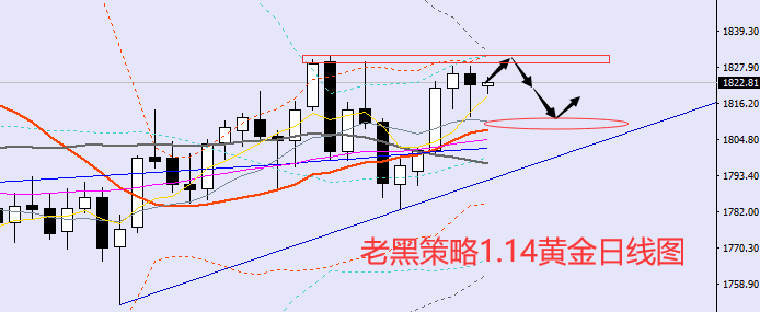 老黑策略：1.14黄金分析策略