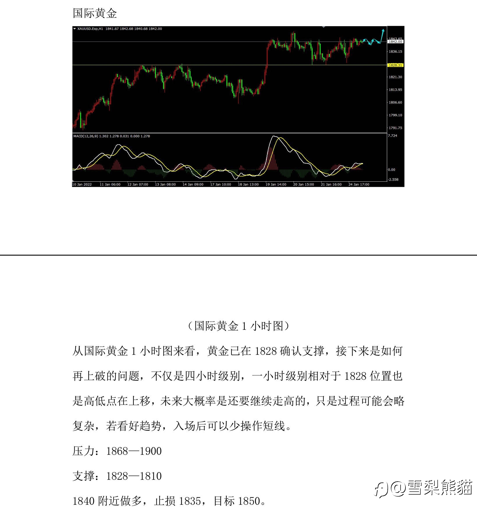 25/1拓利汇评