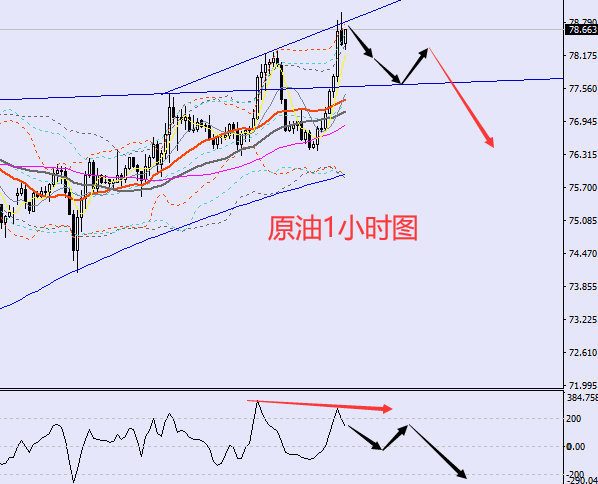 老黑策略：1.6晚盘外汇、黄金、原油分析策略