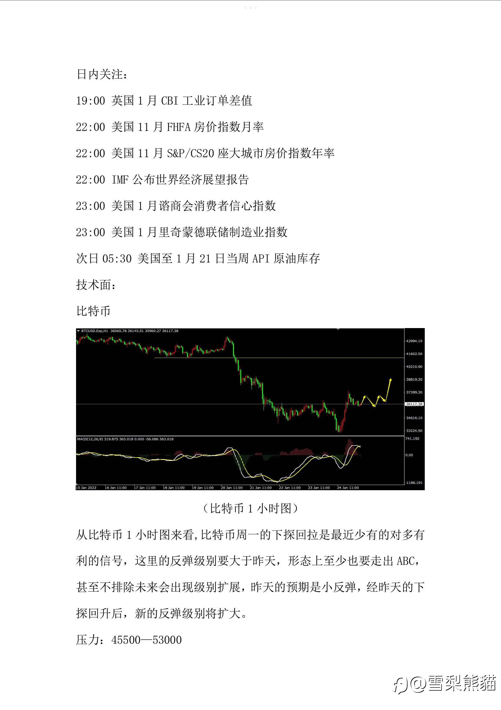 25/1拓利汇评