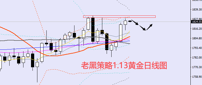 老黑策略:1.13黄金分析策略