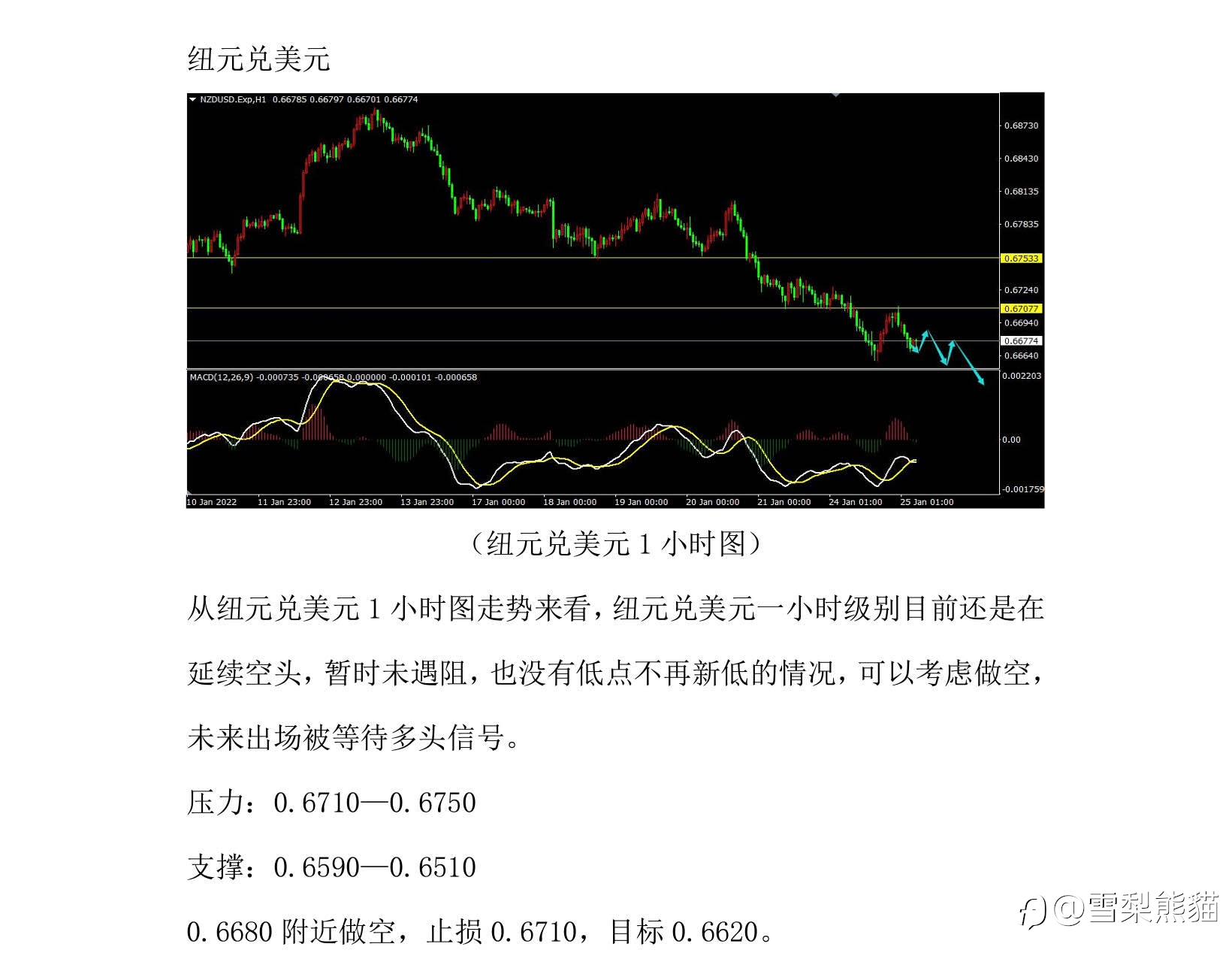25/1拓利汇评