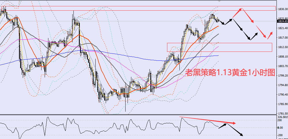 老黑策略:1.13黄金分析策略